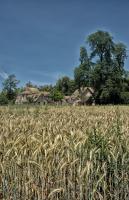 post-93078-0-05647000-1412316136_thumb.j