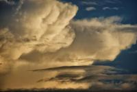 post-93078-0-46394900-1412867049_thumb.j