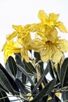 post-93078-0-65157400-1414561076_thumb.j