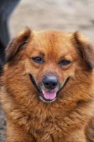 post-93078-0-68874800-1414675801_thumb.j