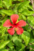 post-93078-0-87585300-1414694936_thumb.j