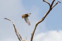 post-96836-0-47295100-1414374000_thumb.j