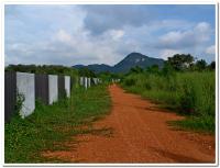 post-9958-0-69897300-1412669992_thumb.jp