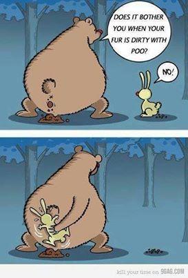 post-138970-0-58921600-1444930717_thumb.