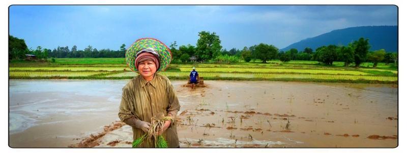 post-141067-0-17524900-1444300793_thumb.