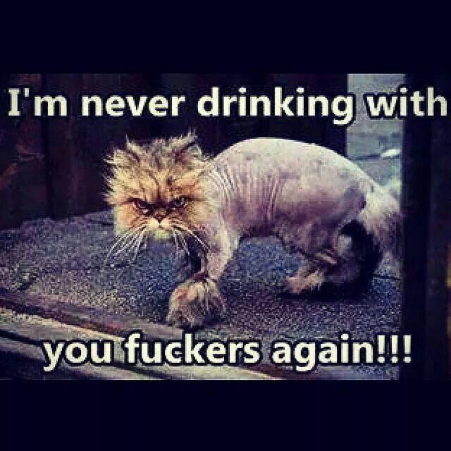 post-155756-0-45058600-1445643350_thumb.