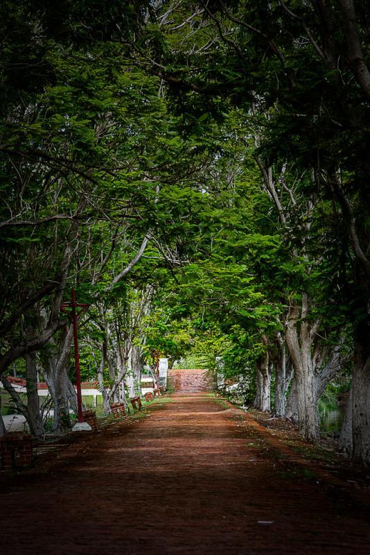 post-171103-0-03438200-1444634683_thumb.