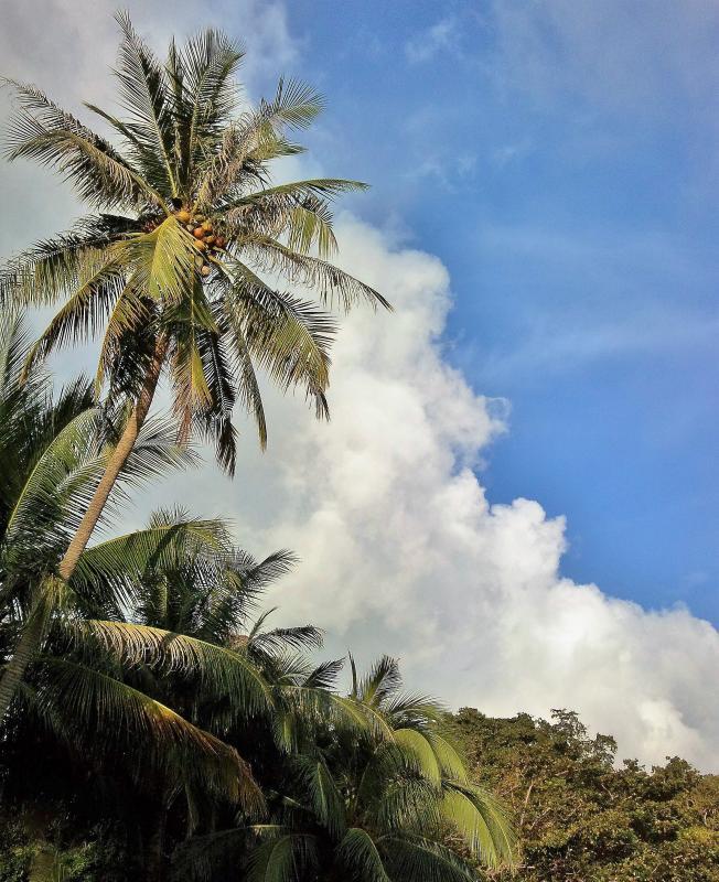 post-186797-0-28763300-1446124055_thumb.