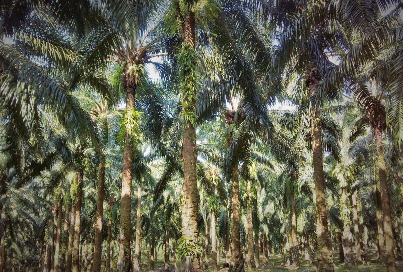 post-186797-0-32380600-1445843912_thumb.