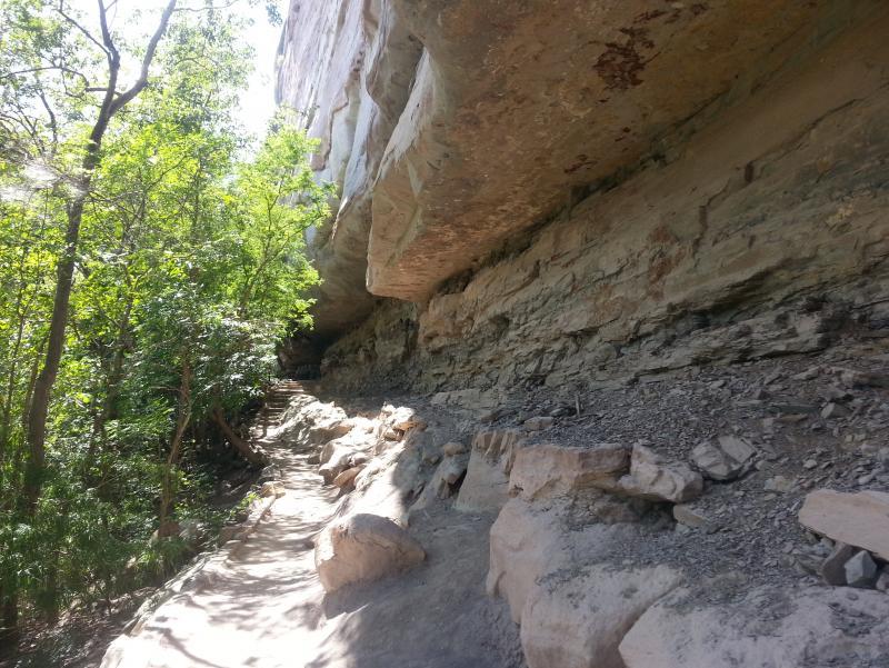 post-19652-0-32732000-1445337552_thumb.j