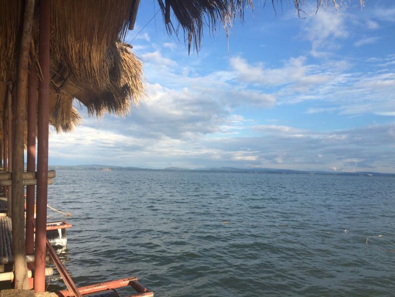 post-19652-0-73993200-1445335455_thumb.j