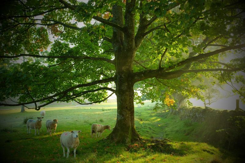 post-219764-0-12402600-1445349732_thumb.