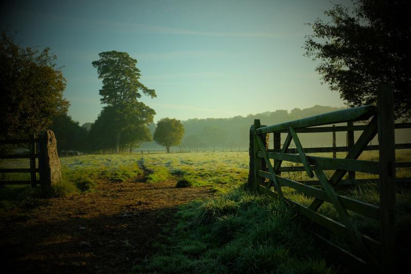 post-219764-0-14381600-1445349680_thumb.