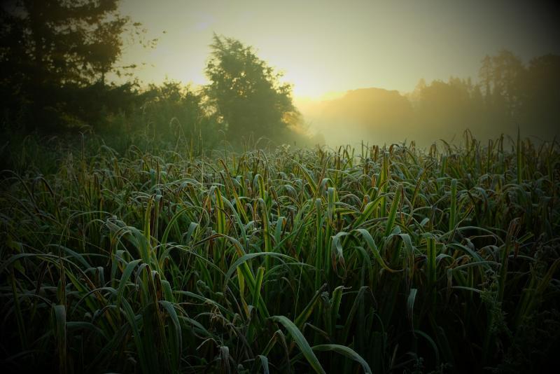 post-219764-0-53861300-1445349636_thumb.