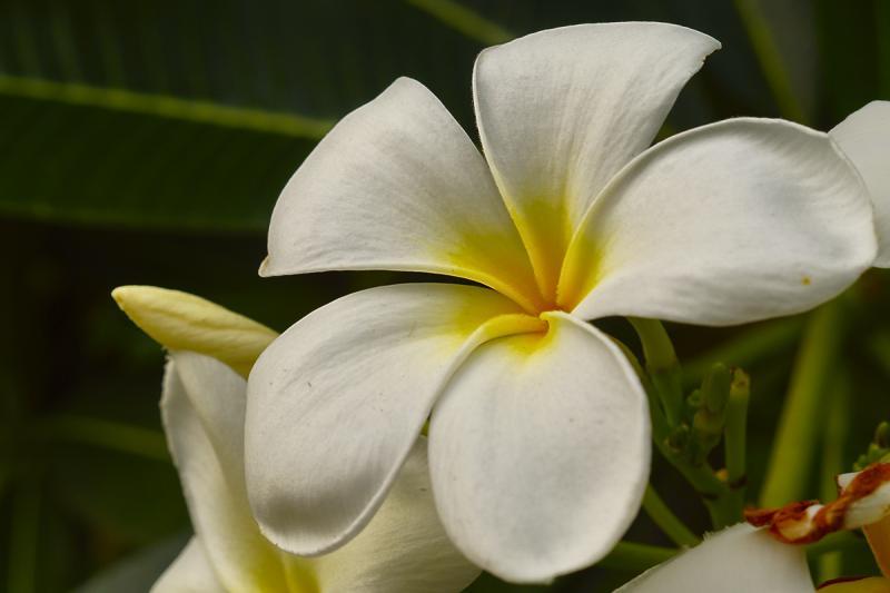 post-228573-0-06683700-1446182945_thumb.