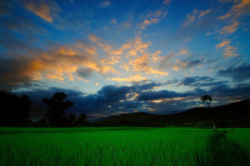 post-228573-0-09965900-1444833084_thumb.