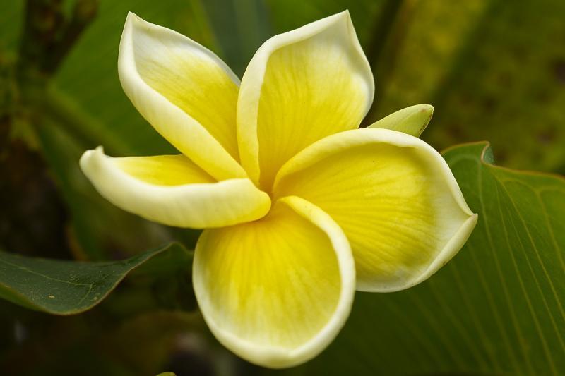 post-228573-0-69836300-1446182960_thumb.