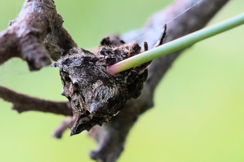 post-228573-0-70259000-1446017400_thumb.