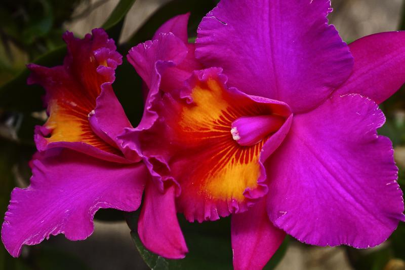 post-228573-0-73009900-1446182916_thumb.