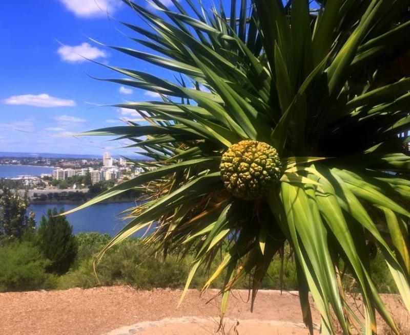 post-231841-0-01025900-1445095310_thumb.