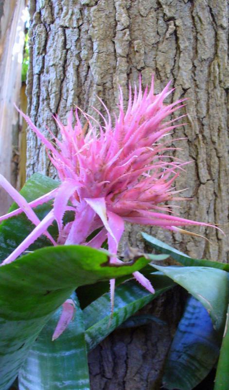 post-231841-0-05299800-1445087056_thumb.