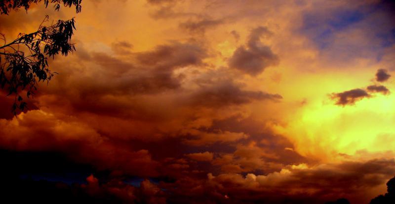 post-231841-0-23085500-1444387964_thumb.