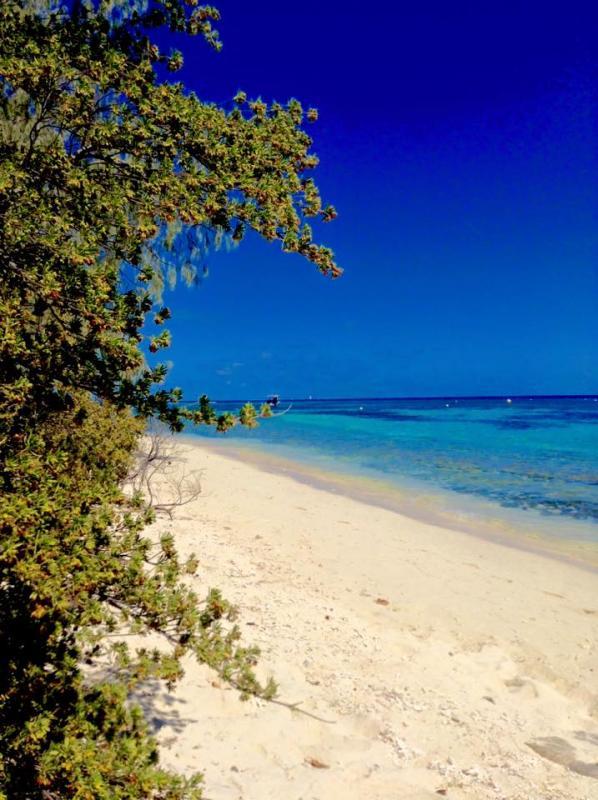 post-231841-0-29159000-1445074656_thumb.