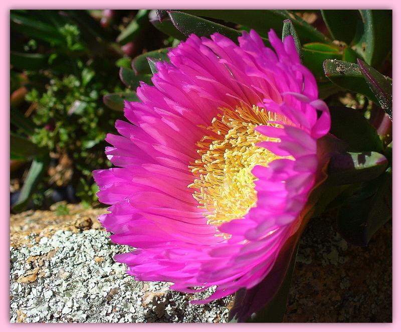 post-231841-0-31906800-1444112226_thumb.