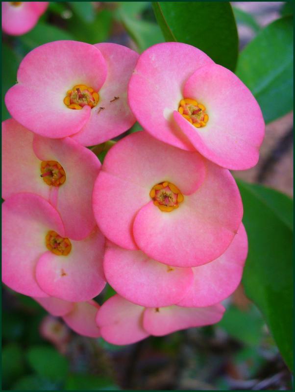 post-231841-0-42371300-1444048554_thumb.