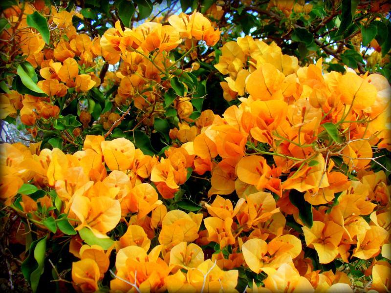 post-231841-0-46450300-1444808067_thumb.