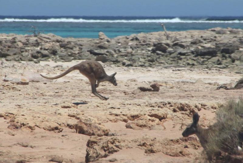 post-231841-0-62561600-1446026819_thumb.