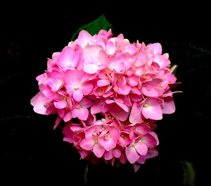 post-231841-0-62769500-1445089581_thumb.