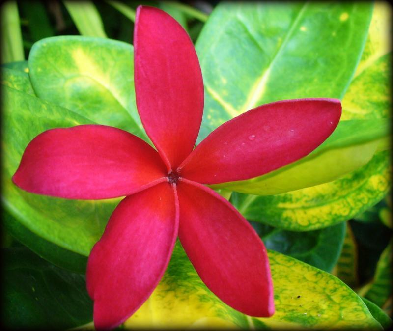 post-231841-0-92535100-1444047829_thumb.