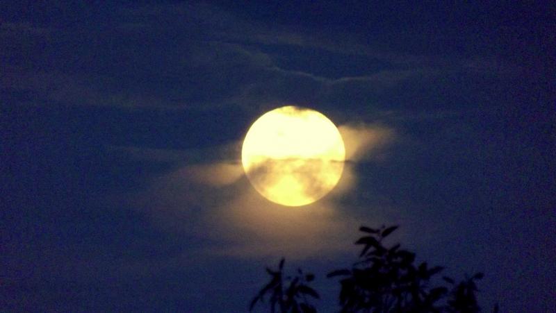 post-231841-0-93563600-1445954563_thumb.