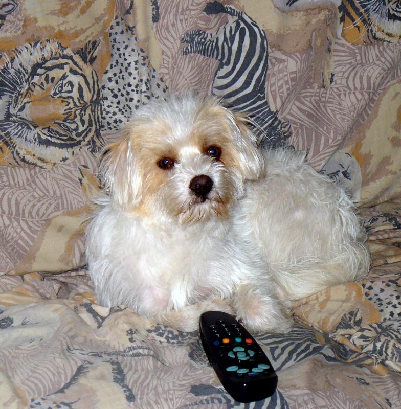 post-231841-0-95398200-1444879902_thumb.