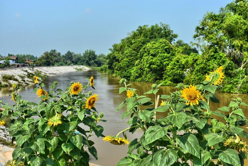 post-237730-0-01388500-1445738636_thumb.