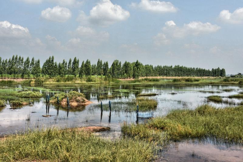 post-237730-0-02051200-1445162345_thumb.