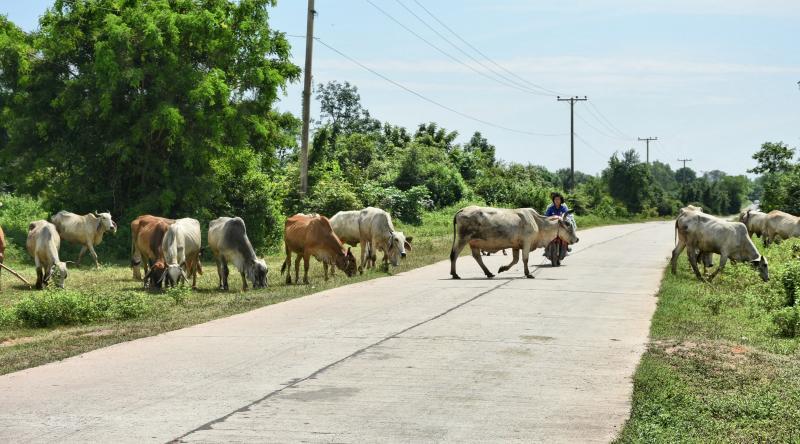 post-237730-0-05199600-1444637166_thumb.