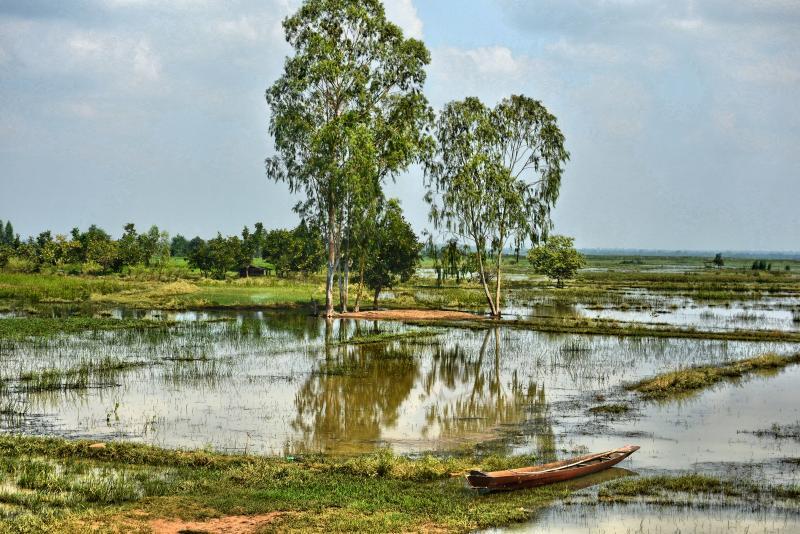 post-237730-0-06163100-1445250696_thumb.