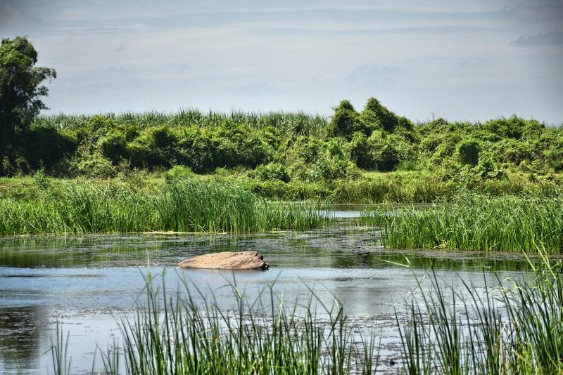 post-237730-0-07396300-1444641146_thumb.