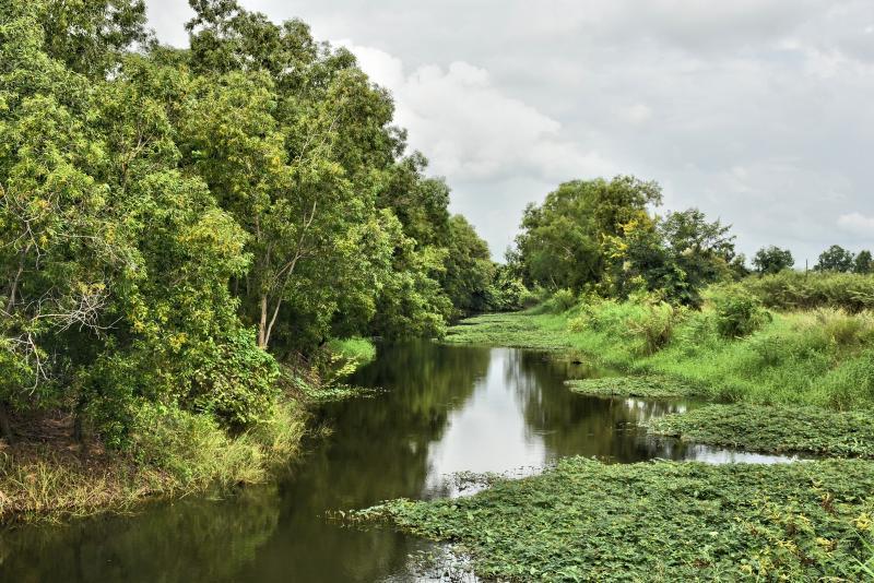 post-237730-0-12195000-1444211506_thumb.