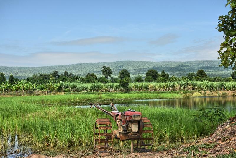 post-237730-0-12398400-1444905765_thumb.