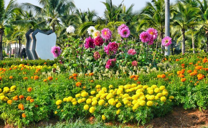 post-237730-0-17869400-1445919325_thumb.