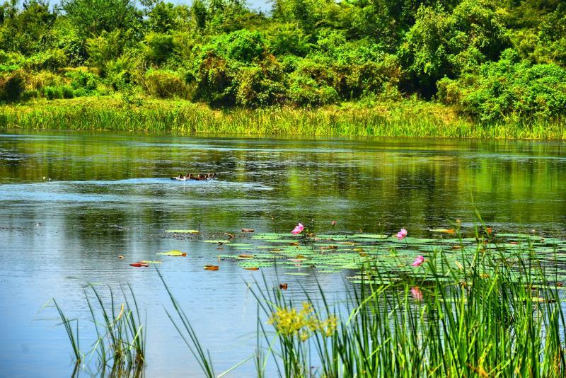 post-237730-0-19094800-1444959116_thumb.