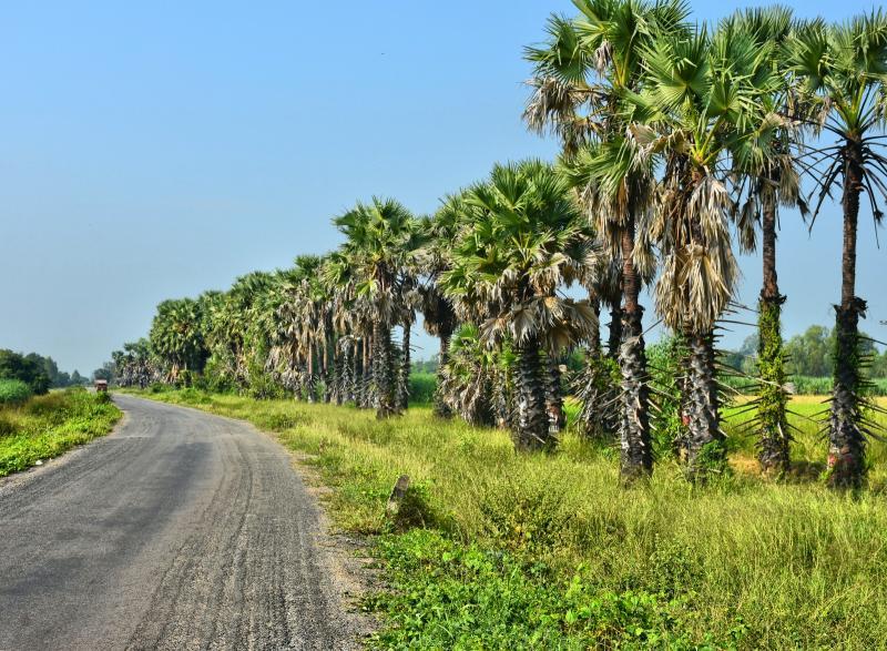 post-237730-0-21175700-1445502258_thumb.