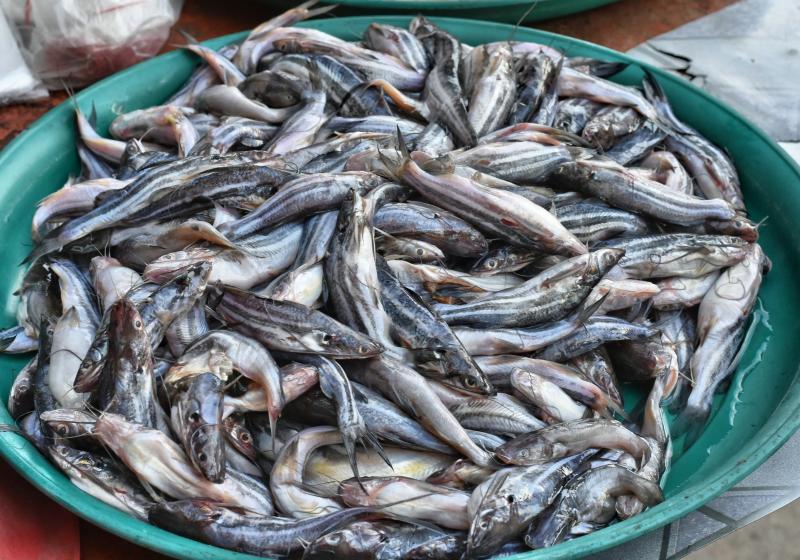 post-237730-0-22835400-1443839829_thumb.