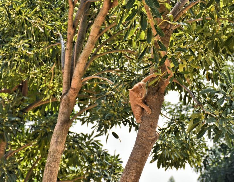 post-237730-0-25373200-1445502855_thumb.