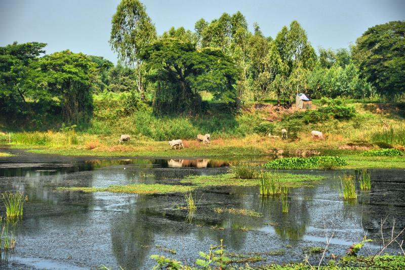 post-237730-0-28572800-1445245603_thumb.