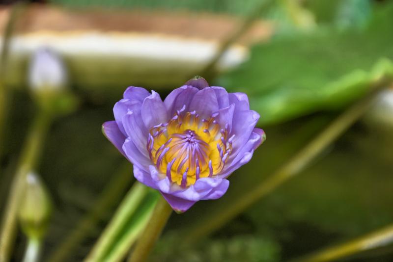 post-237730-0-30600300-1444125883_thumb.