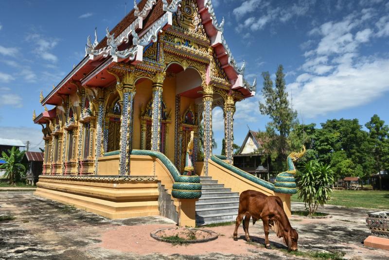 post-237730-0-33975700-1444907405_thumb.